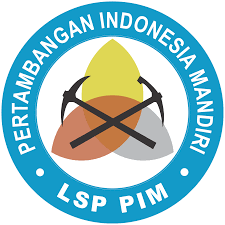 LSP PIM